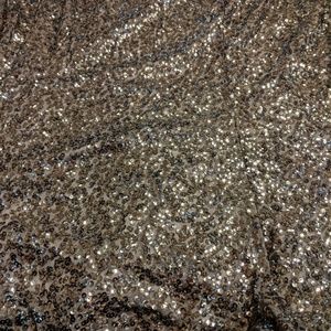 Lane Bryant Lined Sequin Skirt